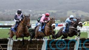 Bob Olinger on course for Irish Champion Hurdle
