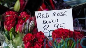 Roses are red, violets are blue, will there be a shortage from the EU?