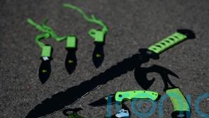 No 10 defends September date for zombie-style blades ban