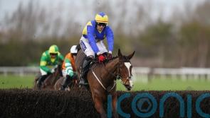 ‘Brilliant’ Brides Hill completes hat-trick at Huntingdon