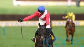 Allaho ruled out of Cheltenham Festival due to injury
