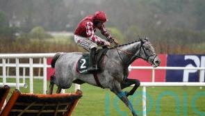 Tattersalls Ireland announces Caldwell dispersal sale