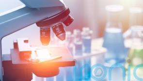 ‘Breakthrough’ blood test for brain cancer