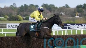 Marine Nationale thriving ahead of Irish Arkle assignment