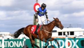 Diamond sparkles in Yorkshire Rose heat