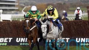 Elixir Du Nutz shocks favourite Jonbon in Clarence contest