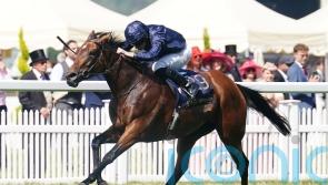 Moore stars again as Warm Heart signs off in style