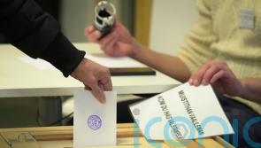 Nato newcomer Finland goes to the polls to elect new president