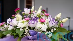 Romantic alternatives to red roses on Valentine’s Day
