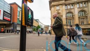 Drivers doubt Highway Code update boosted pedestrians’ safety – poll