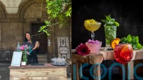 Woman who had alcohol addiction before collapse in her 20s finds sobriety and launches booze-free events company