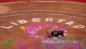 Bullfighting resumes in Mexico City while activists protest outside