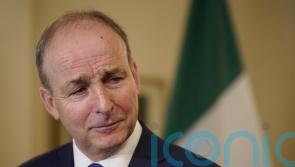 Tanaiste in favour of ban on disposable vapes