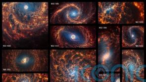James Webb Space Telescope images show 19 nearby spiral galaxies in detail