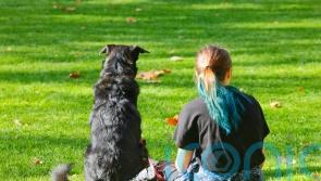 Study finds link between having a dog and girls’ physical activity