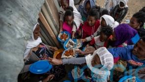 Millions still needing food as UN resumes aid following plot to steal grain