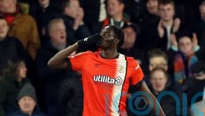 Luton move out of the relegation zone with thumping victory against Brighton