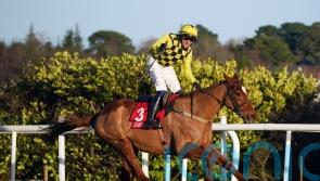Townend confident State Man can shine again in Irish Champion