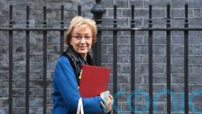 EU trade friction is price UK has to pay to be sovereign after Brexit – Leadsom