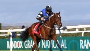 Ashroe Diamond on course to sparkle at Cheltenham