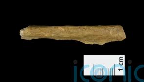 Humans migrating to Europe 45,000 years ago ‘were resilient to harsh climate’