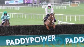 Faugheen sent his army of fans wild at Dublin Racing Festival