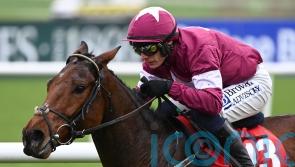 Gigginstown looking for young guns to fire