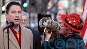 Groundhog Day comes around again for Punxsutawney Phil
