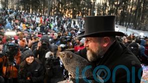 Punxsutawney Phil prepares to give weather forecast on Groundhog Day
