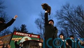Punxsutawney Phil predicts an early spring at Groundhog Day festivities