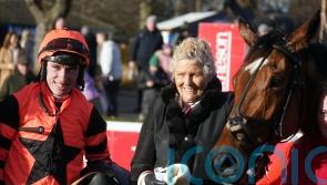 Harrington backing Jetara for Grade One glory