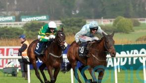 Kargese claims victory in Spring Juvenile Hurdle