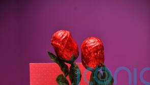 The price of love: One in 20 say Valentine’s Day ‘too expensive to celebrate’