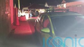 Man arrested after grandmother, 68, killed in dog attack