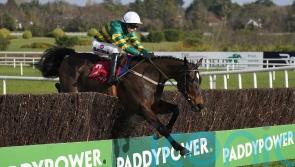 Fact To File comes home alone in Leopardstown Grade One
