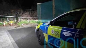 Woman, 68, killed in Essex dog attack named by police