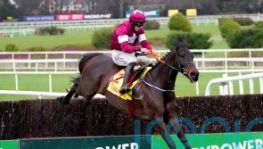 Ryanair tilt ‘more than likely’ for Conflated at Cheltenham