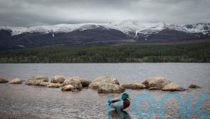Cairngorms lands Lottery cash in bid to become UK’s first net-zero national park