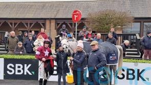 Kennedy hits century for the first time at Punchestown