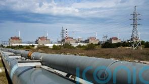 Security fragile at Russian-occupied nuclear power plant in Ukraine – IAEA chief