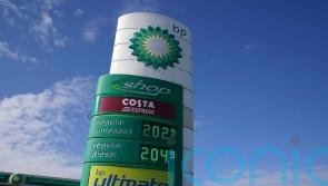 BP boss disagrees with calls to drop climate plan and pledges cash for investors