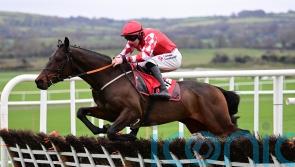 Greatrex thrilled to have Triumph-bound Mighty Bandit in his care