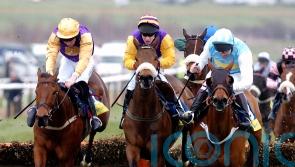 Meade hero Harchibald ‘living the life of luxury’