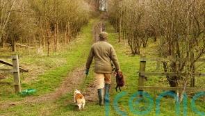 Holyrood committee backs snares ban