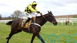 Gold-en ticket awaits Shishkin if all goes to plan at Newbury