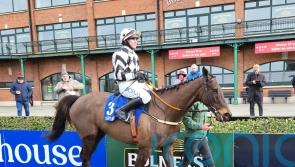 Velvet Elvis calls the tune at Fairyhouse