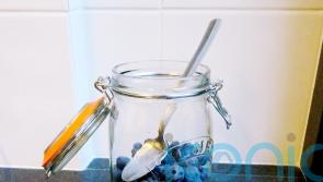 Researchers reveal why blueberries are blue