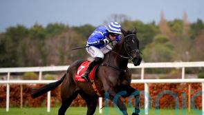 Baring Bingham looking favoured test for Ile Atlantique