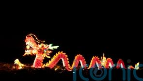 Chinese New Year: What does the year of the dragon mean for you?