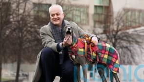 Ban on greyhound racing will not drive sport underground, insists MSP